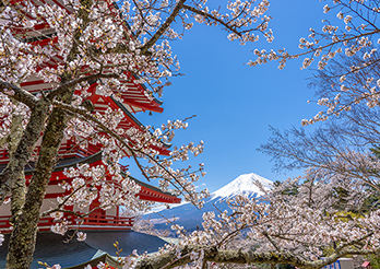 インバウンド Japan Trip